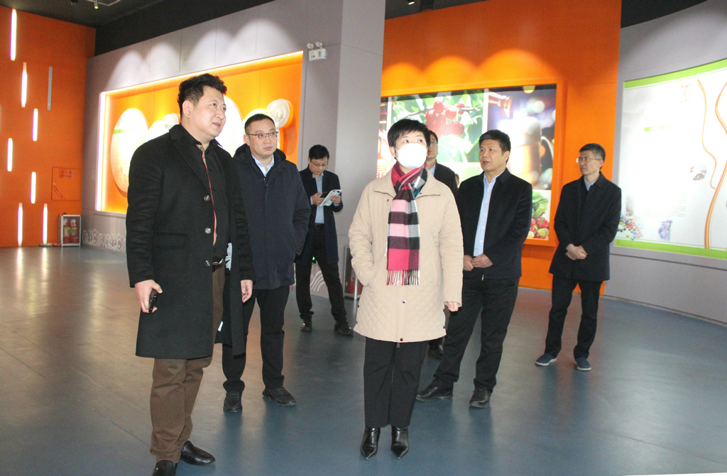 日照市副市長張金梅來潔晶集團調研